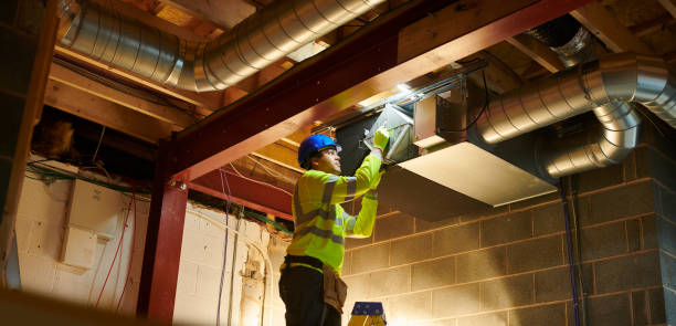 Best Professional Duct Cleaning Services  in Flat Rock, NC